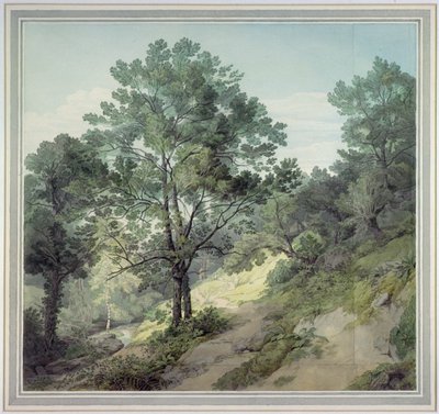 Pohled poblíž Cantonteign, Devon od John White Abbott